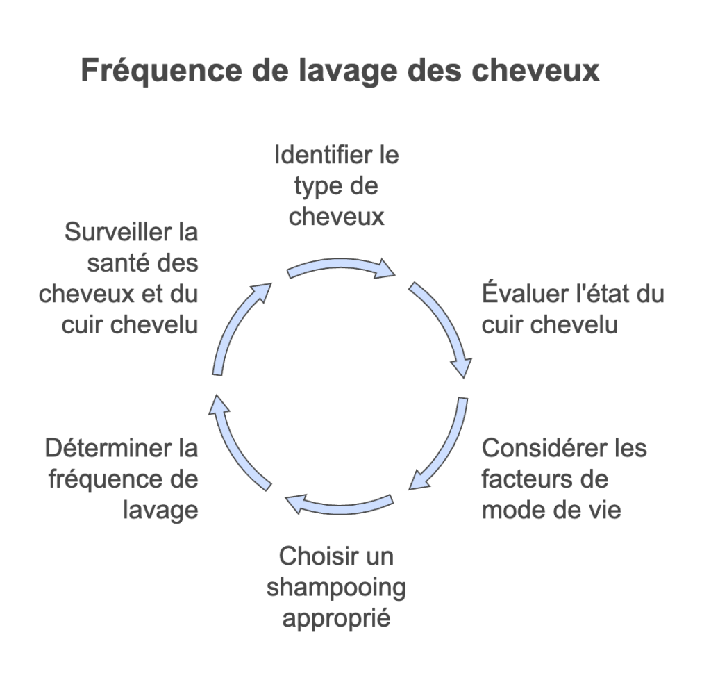 infographie résumant tout l'article